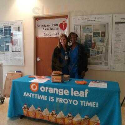 Orange Leaf Frozen Yogurt