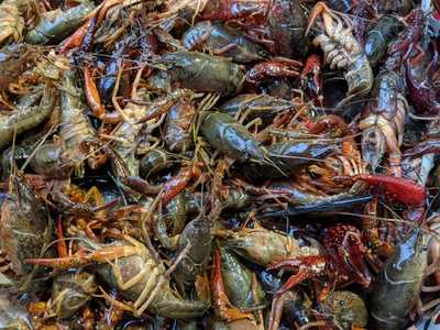 Khon's Wine Darts Coffee Art