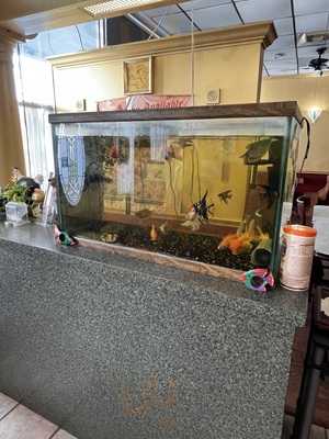 Chef Ding Asian Cuisine