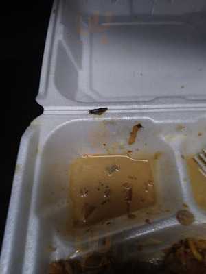 Sushi Hibachi Japanese Express