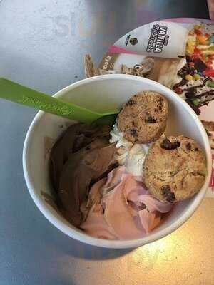 Yogurtland