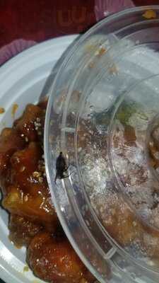 Mayflower Chinese Restaurant