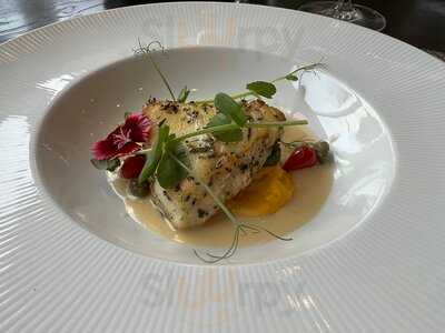 Safina Mediterranean