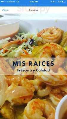 Mis Raices