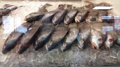 Hank's Seafood House Inc