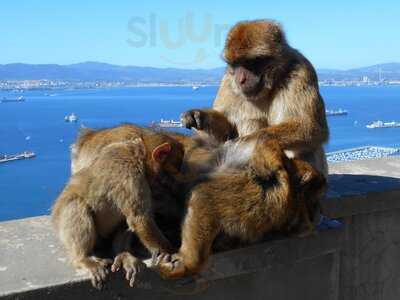 Mom's Country Kitchen