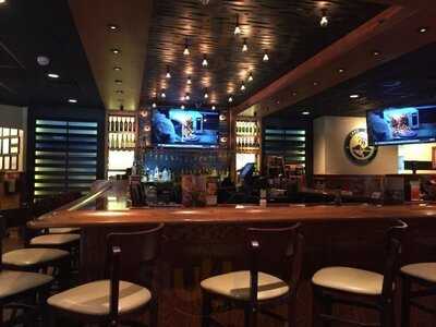 Outback Steakhouse