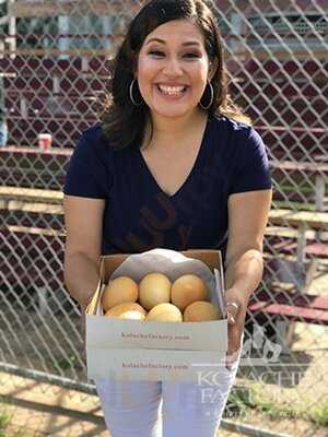 Kolache Factory