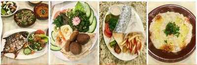 Cafe Dalida Mediterranean Grills