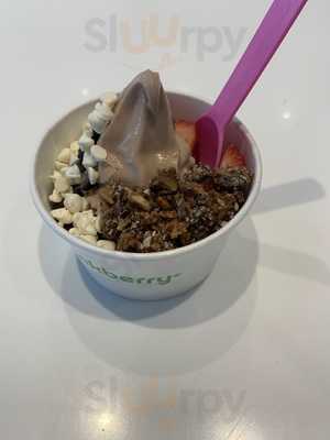Pinkberry Frozen Yogurt