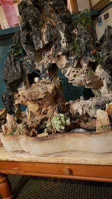 Pearl River Asian Cafe