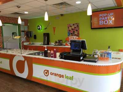 Orange Leaf