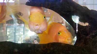 Hai Nam Bbq Fast Food