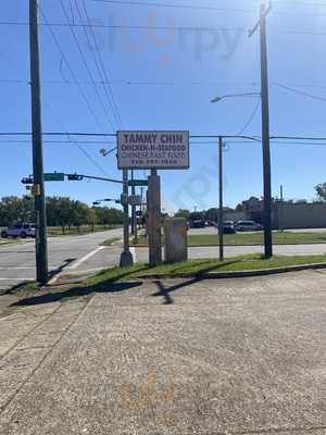 Chin Tammy Chicken And Seafood And Chinese Fast Foods