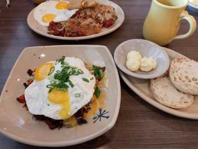 Restaurant Employment