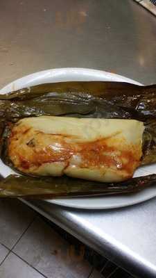 Taqueria Latino El Jr