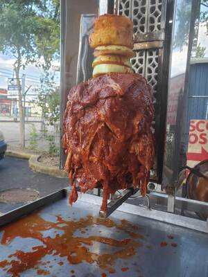 Taqueria Latino El Jr