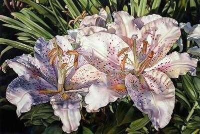 Abracadabra Ice Cream Factory