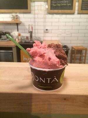 Bonta Natural Artisan Gelato