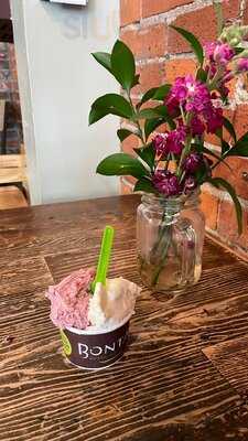 Bonta Natural Artisan Gelato