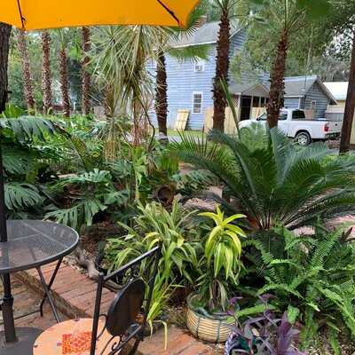 Yellow Deli And Bakery