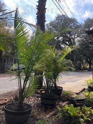 Yellow Deli And Bakery