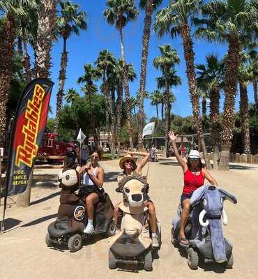 Dillon's Kc Bbq Arrowhead