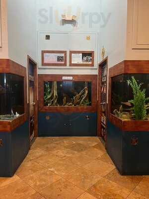 Dillon's Kc Bbq Arrowhead