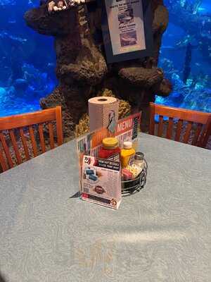 Dillon's Kc Bbq Arrowhead