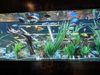 Cheddar's Scratch Kitchen