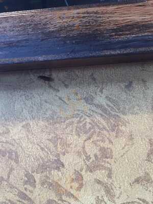 Orleans Seafood Kitchen