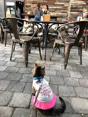 Sunriver Brewing Company - Galveston Pub