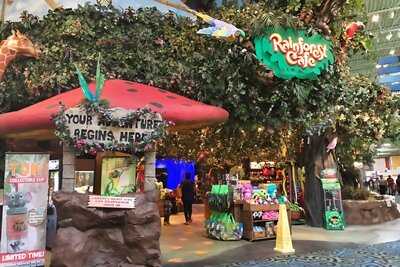 Rainforest Cafe