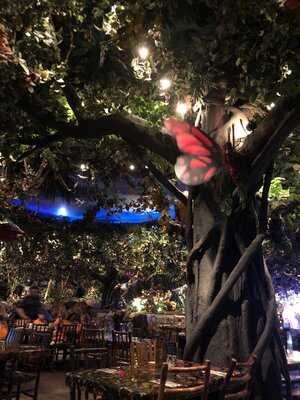 Rainforest Cafe