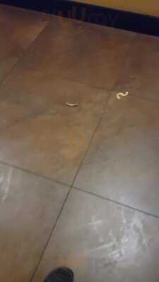 Foto 72217789