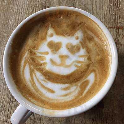 Apocalypse Coffee Roasters