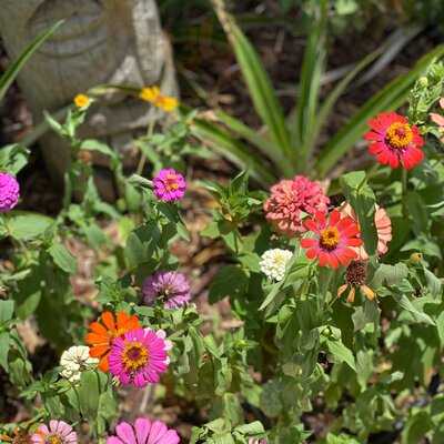 Apocalypse Coffee Roasters