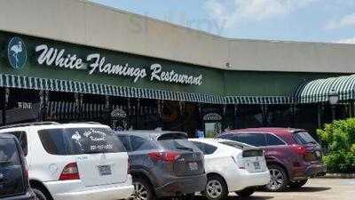 White Flamingo