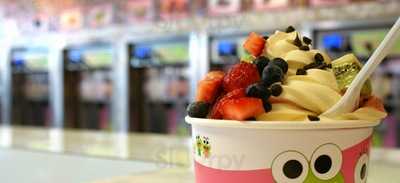 Sweetfrog Premium Frozen Yogurt