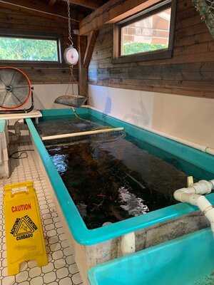 Out Of The Blue Seafood