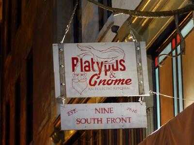 Platypus And Gnome
