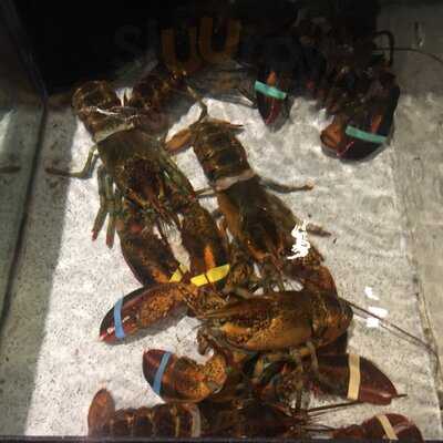 Red Lobster