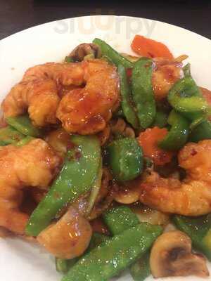 Toyo Sushi & Asian Cuisine