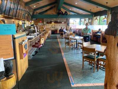 Black Bear Diner