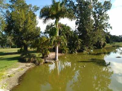 Foto 69280596