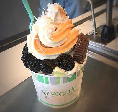 Yogurtini Self Serve