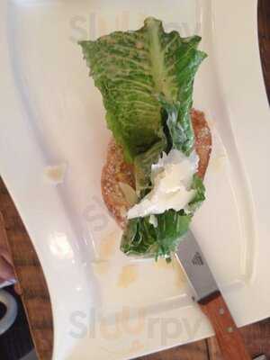 The Tauk At Trail's End