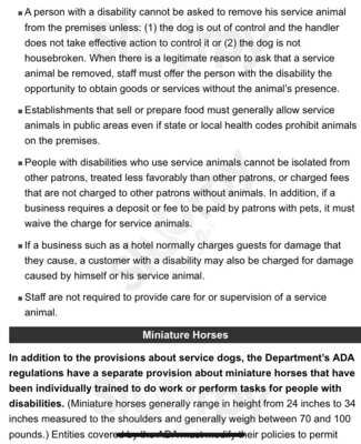 The Tauk At Trail's End