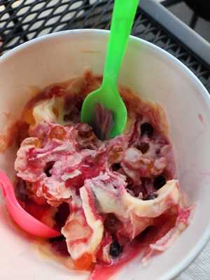 Razzleberriez Frozen Yogurt