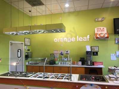 Orange Leaf Frozen Yogurt